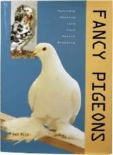 Fancy pigeons aad for sale  USA
