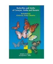 Butterflies and moths gebraucht kaufen  Trebbin