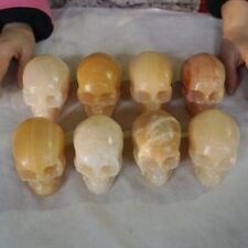 crystal skulls for sale  Willowbrook