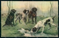 breton cane caccia usato  Italia