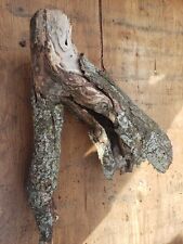Maple wood reptile for sale  Hamilton