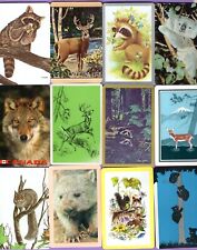 12 cartas de intercambio individuales ANIMALES SALVAJES #4 ARDILLA CIERVO MAPAON DECORACIÓN DE COLECCIÓN segunda mano  Embacar hacia Argentina