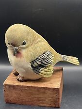 Beautiful canary bird for sale  Ringgold