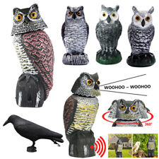 Realistic owl decoy for sale  UK