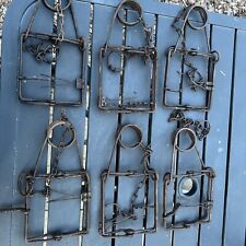 6 Conibear 110 Traps Mink Muskrat Survivalist Victor Vintage Dyed Heavy Springs for sale  Shipping to South Africa