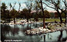 Pittsburgh c1906 Allegheny Park PA Bicycle DuckPond Pram Germany Undivided Back  for sale  Shipping to South Africa