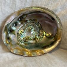 Vintage Large Red Abalone Haliotis Rufescens Shell 8” By 6 1/2” for sale  Shipping to South Africa