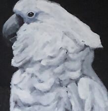 Umbrella cockatoo watercolour for sale  NEWMILNS