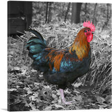 Artcanvas young rooster for sale  Niles
