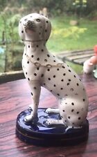 dalmatian dog for sale  STANLEY