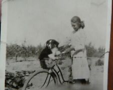 Foto antiga do início dos anos 1900 cesta de bicicleta Border Collie cachorro Zelma Simpson, usado comprar usado  Enviando para Brazil