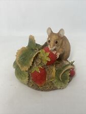 Small mouse strawberries for sale  HULL