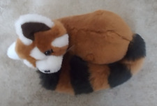 Gorgeous red panda for sale  CAMBRIDGE
