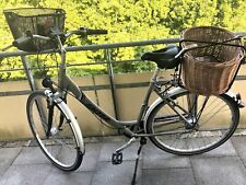 Falter citybike nabendynamo gebraucht kaufen  Eckernförde