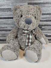 Scruffy teddy large for sale  ANDOVER