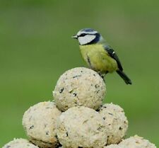 Rspb super suet for sale  DONCASTER