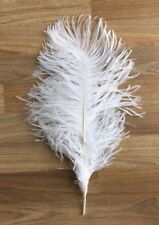 Ostrich fowl feathers for sale  LIVERPOOL