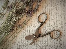 Proops Scissors, Small Vintage Curved Pruning Scissors. C6179, usado segunda mano  Embacar hacia Argentina