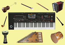 New  Full Armenian and Oriental World super styles and sounds for  korg pa 4x for sale  Shipping to Canada