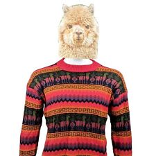 Alpaca red sweater for sale  Midlothian