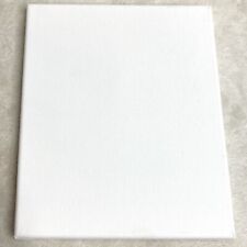 8x10 blank canvas for sale  Denver