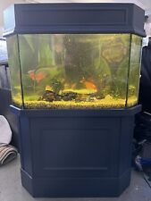 Tropical corner fish for sale  MANSFIELD