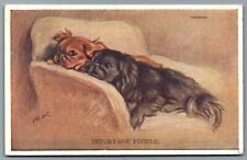 Pekinese dogs postcard for sale  CORSHAM