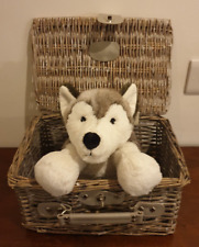 husky puppy for sale  BRIDGNORTH