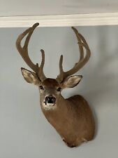 Deer mount for sale  Greenwood