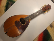 Vintage unbranded mandolin for sale  Pontiac
