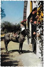 Camargue cpsm cheval d'occasion  Lunel