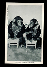 Used, PC-1616**Vintage Postcard 1946-St. Louis Zoo**Baby Chimpanzees*Real Photo* for sale  Shipping to South Africa