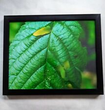 Leaf framed photo for sale  Greenwood