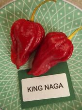 King naga peperoncino usato  Spedire a Italy