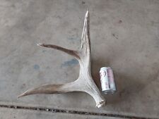 Mule deer antlers. for sale  Lehi