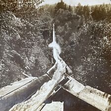 Antique 1896 timber for sale  Niagara Falls