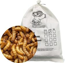 Live regular mealworms for sale  ONGAR