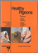 Healthy pigeons recognition for sale  UK