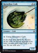A25 horseshoe crab usato  Italia