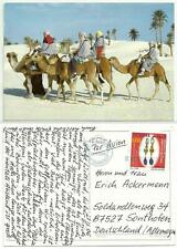 895 kamele tunesien gebraucht kaufen  Deutschland