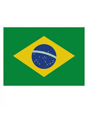 Brasilien fahne 90x150cm gebraucht kaufen  Rheinhausen-Bergheim