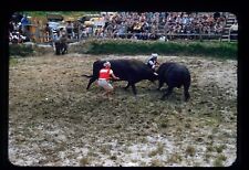 c1950 Naha Regatta Bulls Fighting Japan Red Boarder Kodachrome 2 comprar usado  Enviando para Brazil