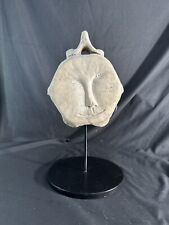 Antique inuit fossilized for sale  Sherman