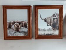 Pair framed pictures for sale  Joliet