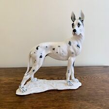Vintage Signed Cacciapuoti Great Dane Dog Figurine - Italian - Blue Eyes - Flaw! for sale  Shipping to South Africa