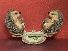 Country artists hedgies for sale  WISBECH