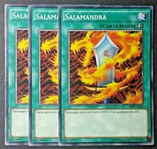Set carte salamandra usato  Venezia