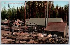 Postcard lumber camp for sale  Kansas City