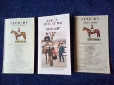 Challow hurdle newbury for sale  WITHERNSEA