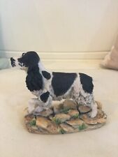 border fine arts spaniel for sale  APPLEBY-IN-WESTMORLAND